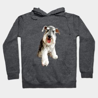 Mini Schnauzer Super Cute Dog! Hoodie